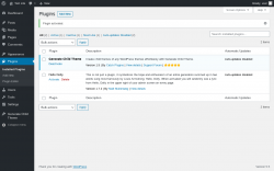 Page screenshot: Plugins &lsaquo; Test site &mdash; WordPress