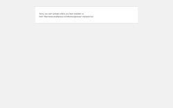 Page screenshot: WordPress › Error