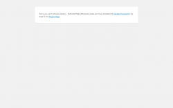 Page screenshot: WordPress &rsaquo; Error