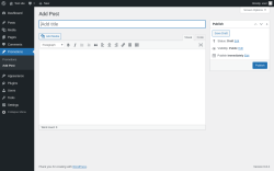 Page screenshot: Promotions → Add Post