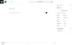 Page screenshot: Add Page &lsaquo; Test site &mdash; WordPress