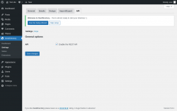 Page screenshot: GeoDirectory → Settings → API
