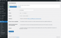 Page screenshot: Settings → Font Awesome