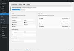 Page screenshot: Places → Settings → Tabs