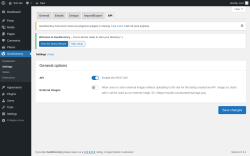Page screenshot: GeoDirectory → Settings → API