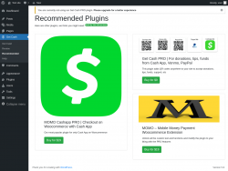 Page screenshot: Get Cash → Recommended