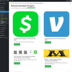 Page screenshot: Get Cash → Premium recommended plugins
