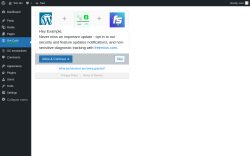 Page screenshot: ‹ Test site — WordPress