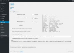Page screenshot: Settings &rarr; Recent Comments