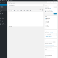 Page screenshot: Add New Post ‹ Test site — WordPress