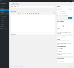 Page screenshot: Add New Page ‹ Test site — WordPress
