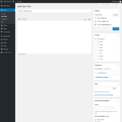 Page screenshot: Add New Post ‹ Test site — WordPress
