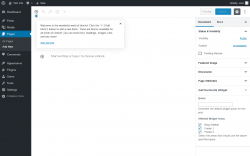 Page screenshot: Add New Page ‹ Test site — WordPress