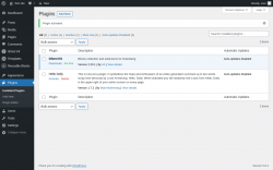 Page screenshot: Plugins ‹ Test site — WordPress