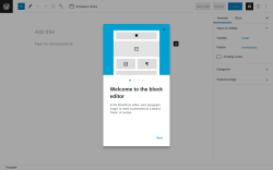Page screenshot: Templates → Add New
