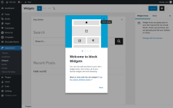 Page screenshot: Widgets ‹ Test site — WordPress