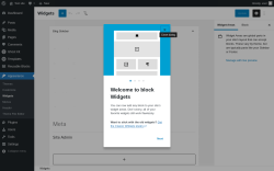 Page screenshot: Widgets ‹ Test site — WordPress