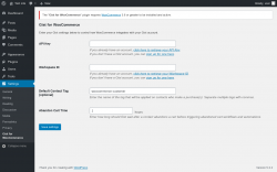 Page screenshot: Settings &rarr; Gist	for WooCommerce
