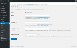 Page screenshot: Settings &rarr; Gist	for WooCommerce