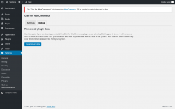 Page screenshot: Settings &rarr; Gist	for WooCommerce &rarr; Debug