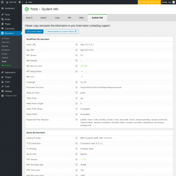 Page screenshot: Donations → Tools → System Info