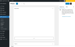 Page screenshot: Widgets &lsaquo; Test site &mdash; WordPress