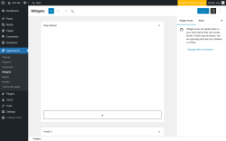 Page screenshot: Widgets &lsaquo; Test site &mdash; WordPress