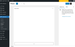 Page screenshot: Widgets &lsaquo; Test site &mdash; WordPress