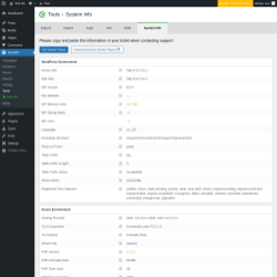 Page screenshot: GiveWP &rarr; Tools &rarr; System Info