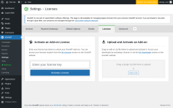 Page screenshot: GiveWP &rarr; Settings &rarr; Licenses