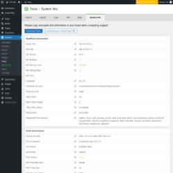 Page screenshot: GiveWP &rarr; Tools &rarr; System Info