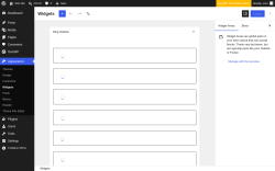 Page screenshot: Widgets &lsaquo; Test site &mdash; WordPress