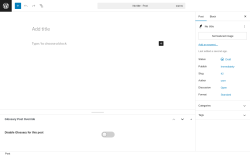 Page screenshot: Add Post ‹ Test site — WordPress
