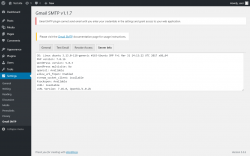 Page screenshot: Settings  → Gmail SMTP → Server Info