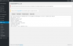 Page screenshot: Settings → Gmail SMTP → Server Info