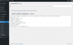 Page screenshot: Settings → Gmail SMTP → Server Info