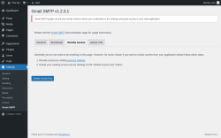 Page screenshot: Settings → Gmail SMTP → Revoke Access