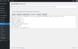 Page screenshot: Settings → Gmail SMTP → Server Info