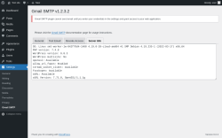 Page screenshot: Settings → Gmail SMTP → Server Info