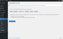 Page screenshot: Settings → Gmail SMTP → Revoke Access