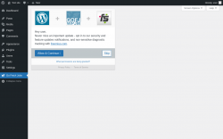 Page screenshot: Import Jobs ‹ Test site — WordPress