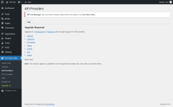Page screenshot: Go Fetch Jobs → API Providers