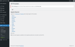 Page screenshot: Go Fetch Jobs → API Providers