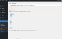 Page screenshot: Go Fetch Jobs → API Providers