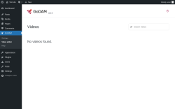 Page screenshot: GoDAM → Video editor