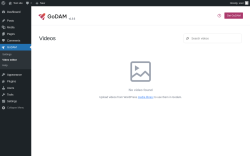 Page screenshot: GoDAM → Video editor