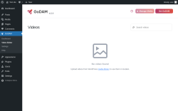 Page screenshot: GoDAM → Video Editor