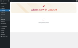 Page screenshot: GoDAM