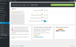 Page screenshot: Settings &rarr; Assets manager