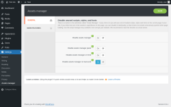 Page screenshot: Settings &rarr; Assets manager